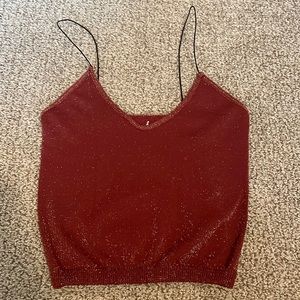 Free people shimmery top